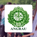 ANGRAU Releases AP AGRICET 2023 Exam Results 2023; Check Toppers List Here